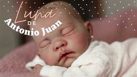 Inspirar oro vóleibol bebe reborn luna Contabilidad Aprendizaje Montón de