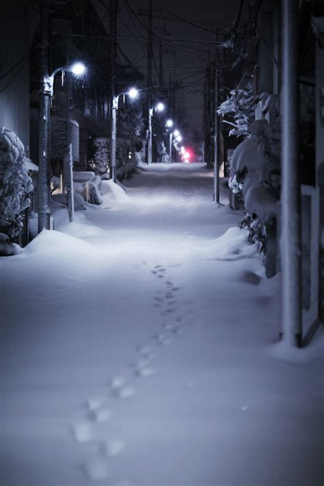 Tokyo Snowy Night Linton Flickr