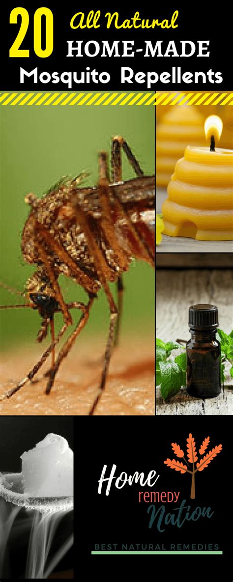 20 Natural Mosquito Repellents You Can Make At Home Natural Mosquito Repellant Repellents