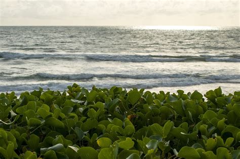 plage nature voyager photo gratuite sur pixabay pixabay