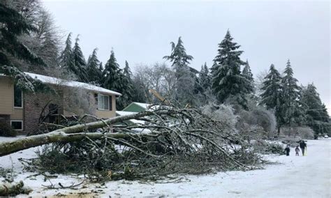 Hundreds Of Thousands Without Power In Northwest Ice Storm The Epoch