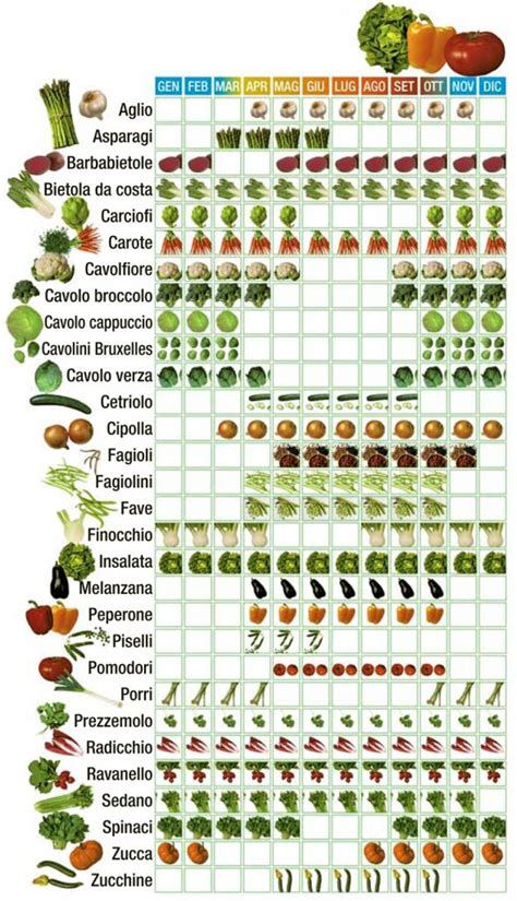 Frutta E Verdura Di Stagione Ecco Il Calendario Mese Per Mese