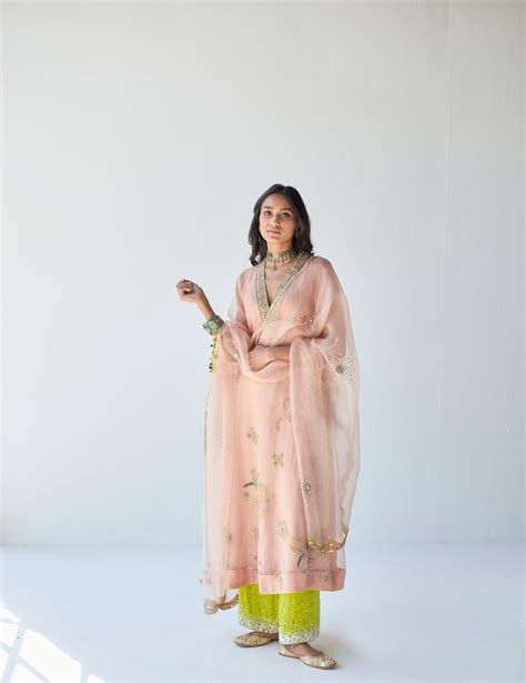 Nude Pink Jaal Organza Kurta Set Rajiramniq