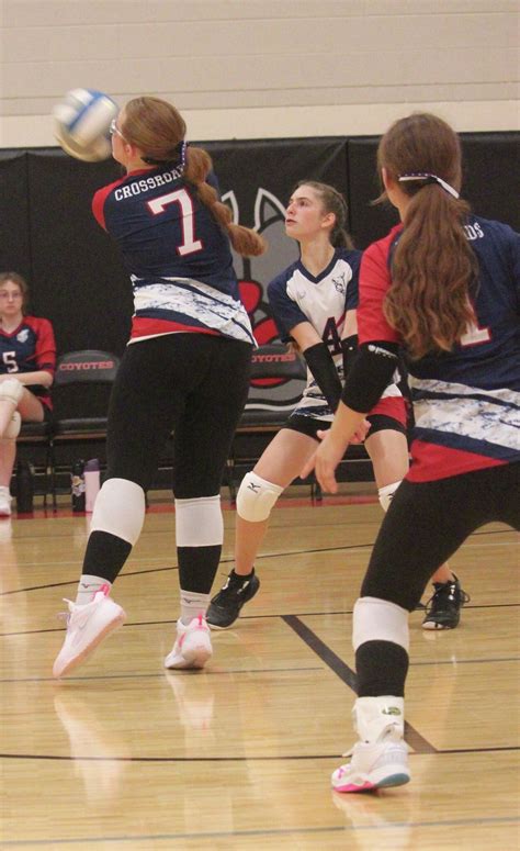 Nostrant, Cougars eyeing more titles