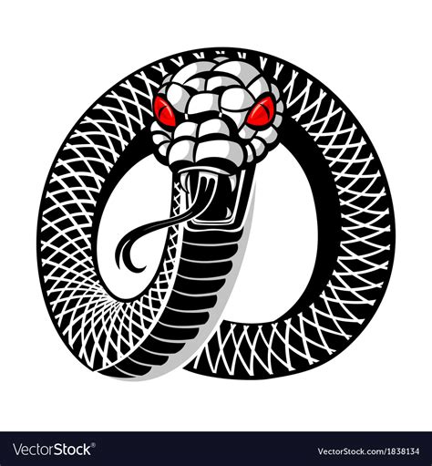 Snake Tattoo Royalty Free Vector Image VectorStock