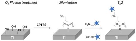 Polymers Free Full Text Bioactive Coatings On Titanium A Review On