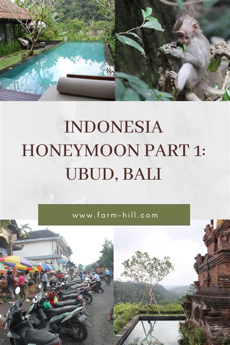 Our Honeymoon Stay in Ubud, Bali — farm hill