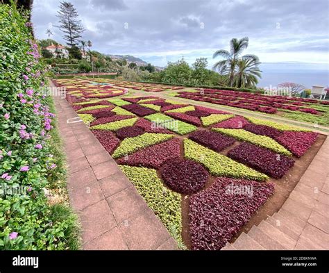 Madeira Botanical Gardens Stock Photo - Alamy