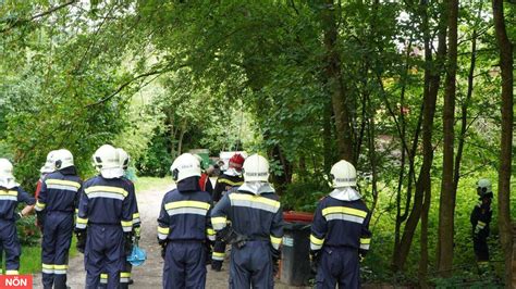 Einsatz Baum Drohte In Maria Anzbach Auf Haus Zu St Rzen N N At