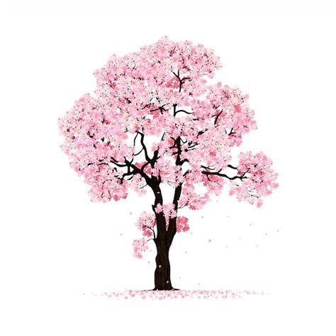 Floreciente Rbol De Sakura Rosa Aislado Vector Premium