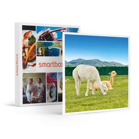 Smartbox Coffret Cadeau D Couverte Des Animaux Exp Riences Au