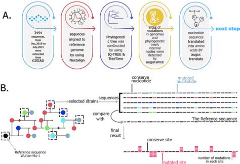 Schematic Illustration Of 5 Steps To Find The Site Of Mutations And