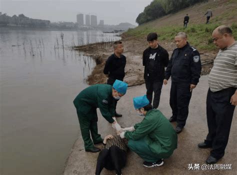 常德：沅陵女子跳水轻生 航道职工紧急救援处理