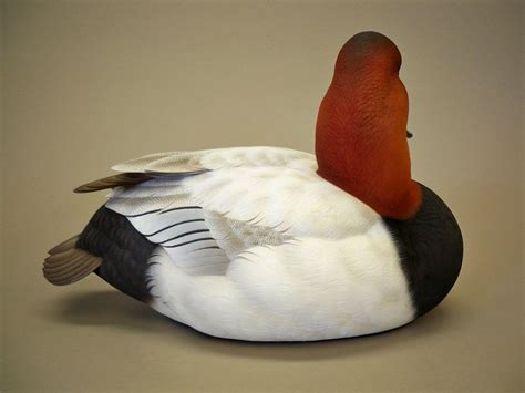 Jett Brunet Nd Canvasback Drake Bird Carving Waterfowl Art Carving