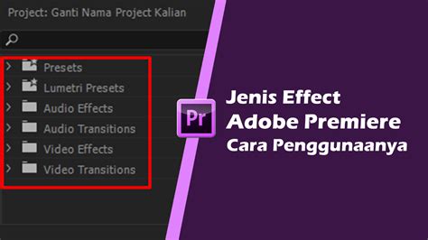 Jenis Jenis Effects Adobe Premiere Pro Cc Dan Cara Penggunaannya