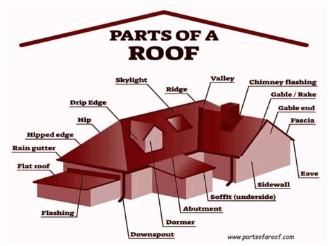 Explore All Parts Of The Roof With Diagrams