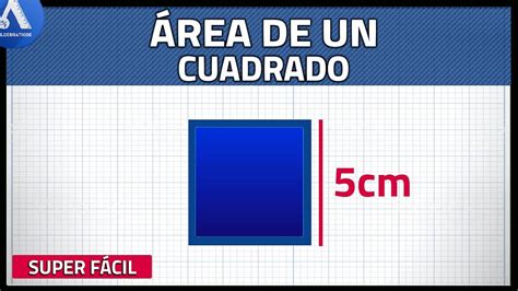 Como Sacar Las Medidas De Un Cuadrado Teniendo El Area Mapaglobal