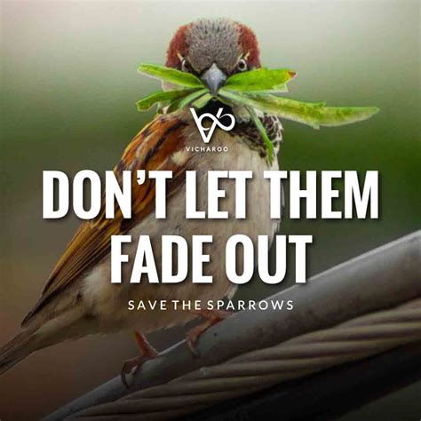 Save Sparrows Slogans Quotes World Sparrow Day Artofit