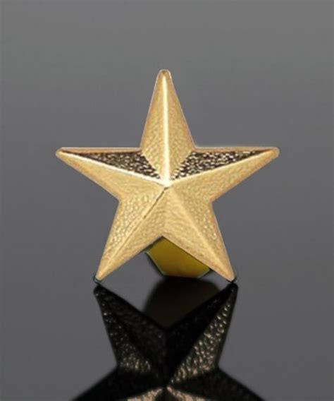 Picture Of Gold Star Lapel Pin