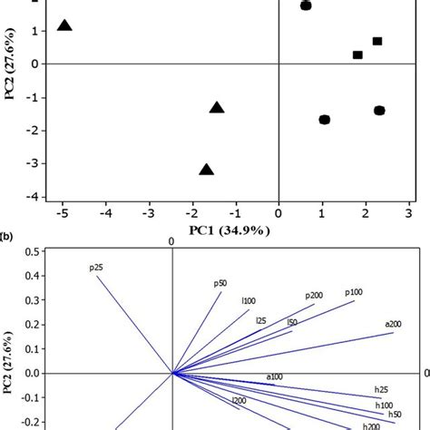 Scores A And Loading B Plots Of Principal Component Analysis Pca