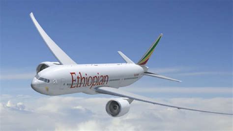 Ethiopian Airlines Pilots Fall Asleep Midair Plane Misses Landing