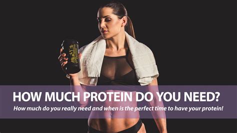 How Much Protein Do You Need —