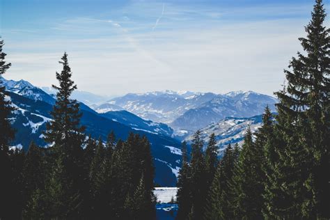 Fotos gratis árbol naturaleza desierto nieve invierno cordillera