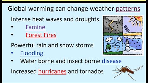 Examples Of Weather Patterns