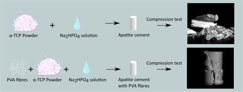 Materials Free Full Text The Addition Of Polyvinyl Alcohol Fibers