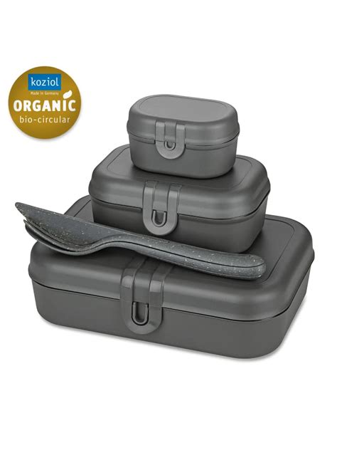 Koziol Pascal Ready Lunchbox Set Besteck Set In Nature Ash Grey