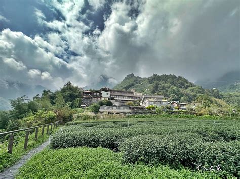 阿里山秘境【山角鐵茶屋】山林放空吃下午茶，眺望群山遼闊視野，預約制 可人之家