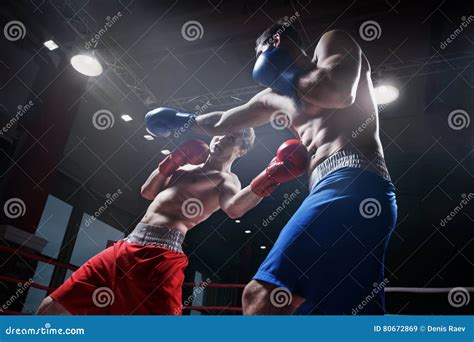 Fighting In Boxing Ring Stock Image | CartoonDealer.com #80672869