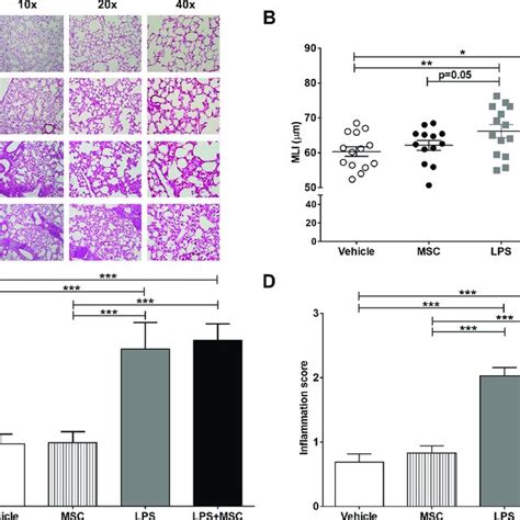 MSC Treatment Does Not Affect Chronic LPS Induced Emphysema