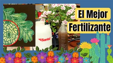 Descubre Los 10 Mejores Fertilizantes Para Hacer Crecer Tus Hortalizas