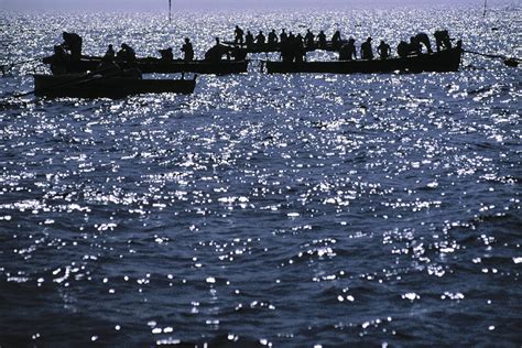 La Mattanza Di Favignana