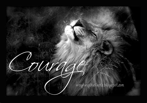 Lioness Courage Quotes Quotesgram