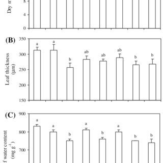 individual leaf mass  leaf thickness   leaf water content