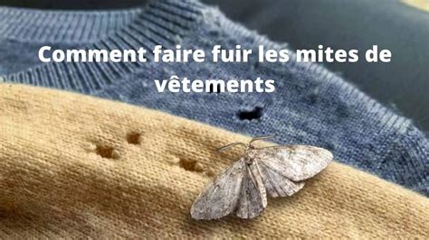 Comment faire fuir les mites de vêtements astuces génial YouTube