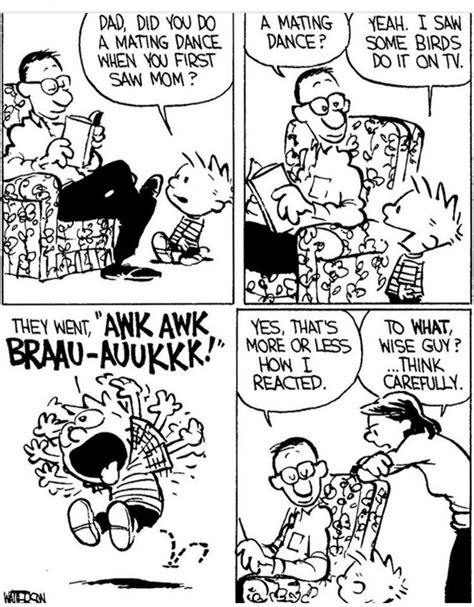 Pin By Srishti Kundra On Calvin N Hobbes Calvin And Hobbes Comics