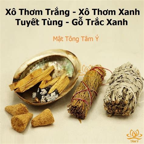xo thom trang xo thom xanh tuyet tung  trac xanh palo santo nam