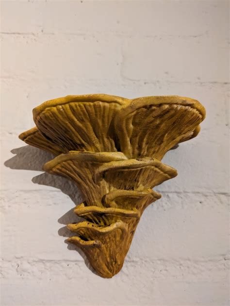 3D Printable Wall Shelf Djamor Fungus Made With Bambu Lab X1 Carbon