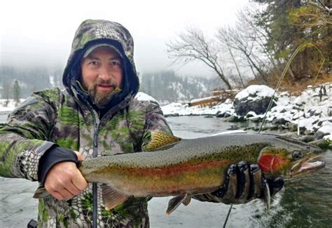 Clearwater River Steelhead Better Than Expected Pautzke Bait Co