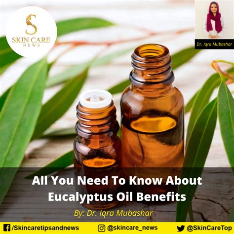 All You Need To Know About Eucalyptus Oil Benefits