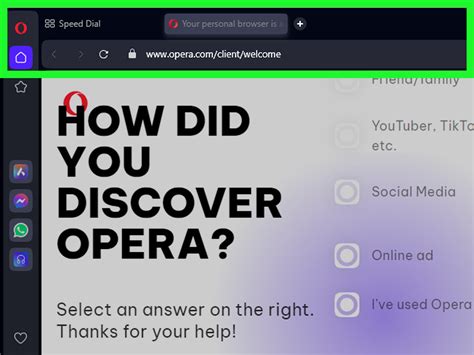 find  browser type  version  pictures