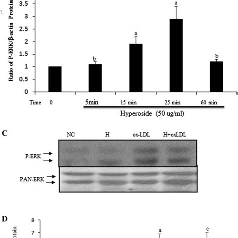 Hyperoside Inhibits Cell Viability And Attenuates The Effects Of Oxldl