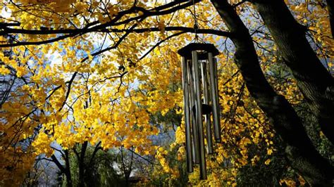 The Most Beautiful Wind Chimes In The World