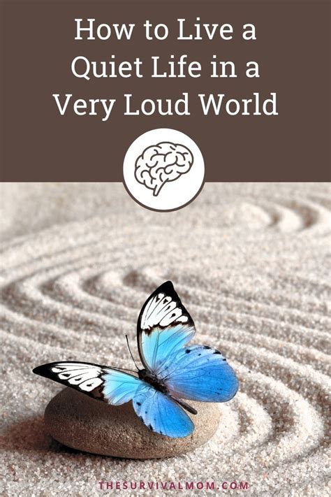 How to Live a Quiet Life in a Very Loud World - The Survival Mom