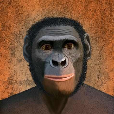 Australopithecus Sediba Pleistocene Acheter Une Photo