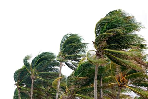 Por Qu Los Huracanes Tienen Nombres De Mujer Meteorolog A En Red