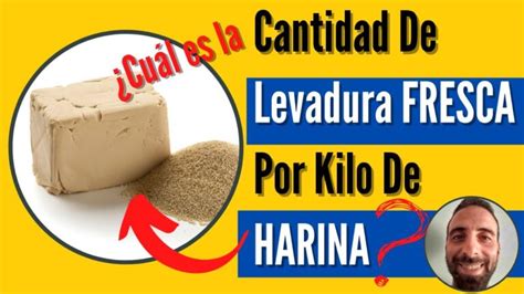 La guía definitiva Cuánta levadura fresca por kilo de harina